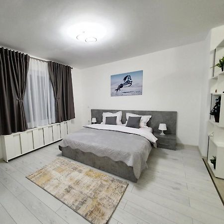 Fresh Mountain Brasov Appartement Buitenkant foto