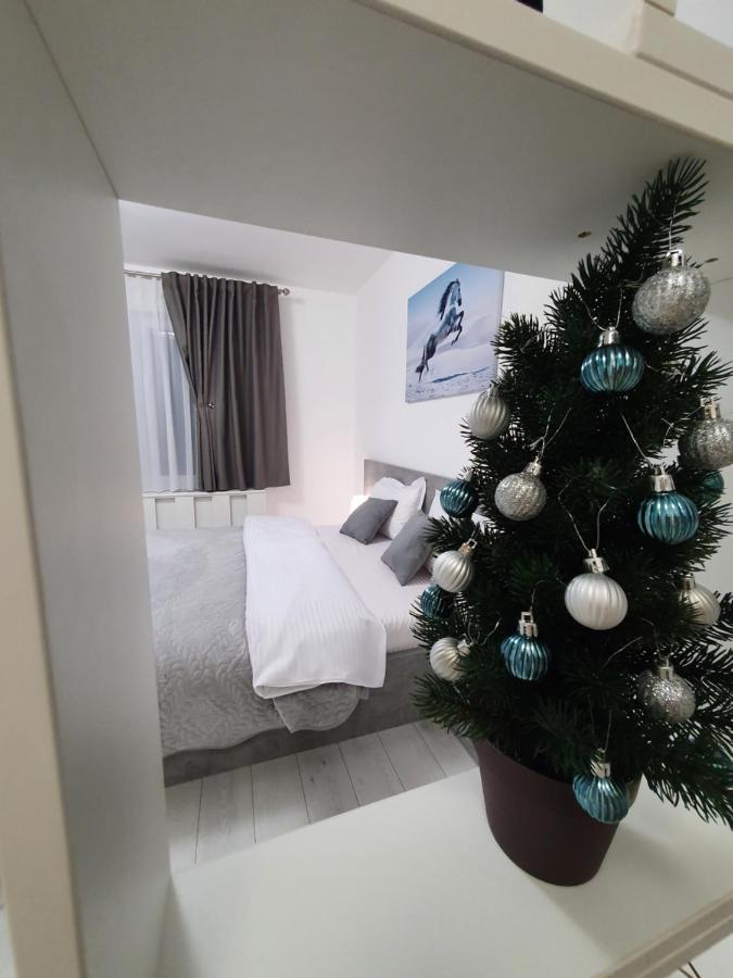 Fresh Mountain Brasov Appartement Buitenkant foto