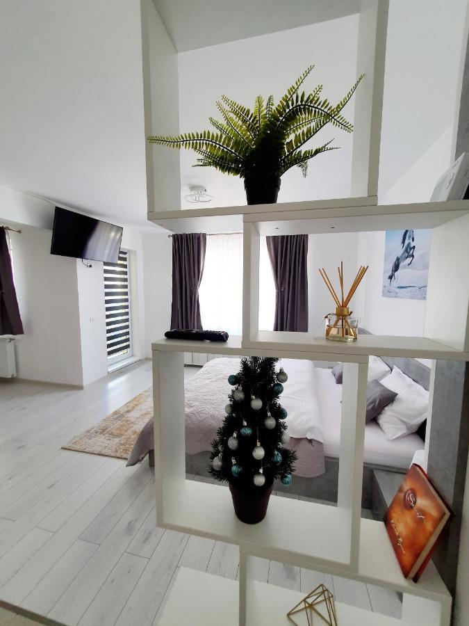 Fresh Mountain Brasov Appartement Buitenkant foto