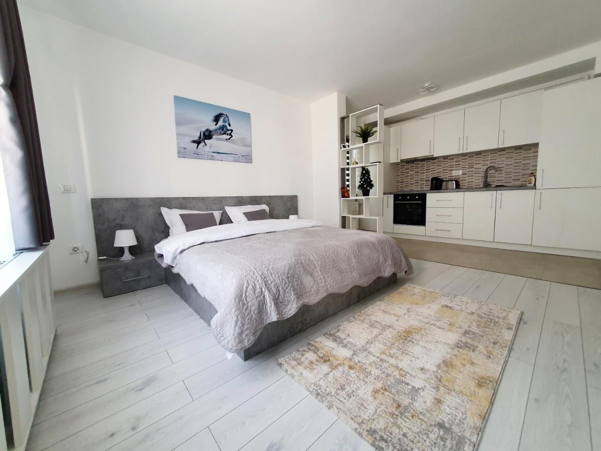 Fresh Mountain Brasov Appartement Buitenkant foto